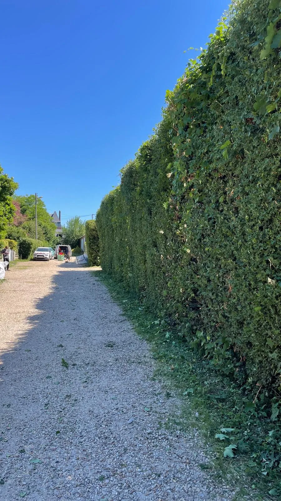 Taille de haie chez un particulier après intervention